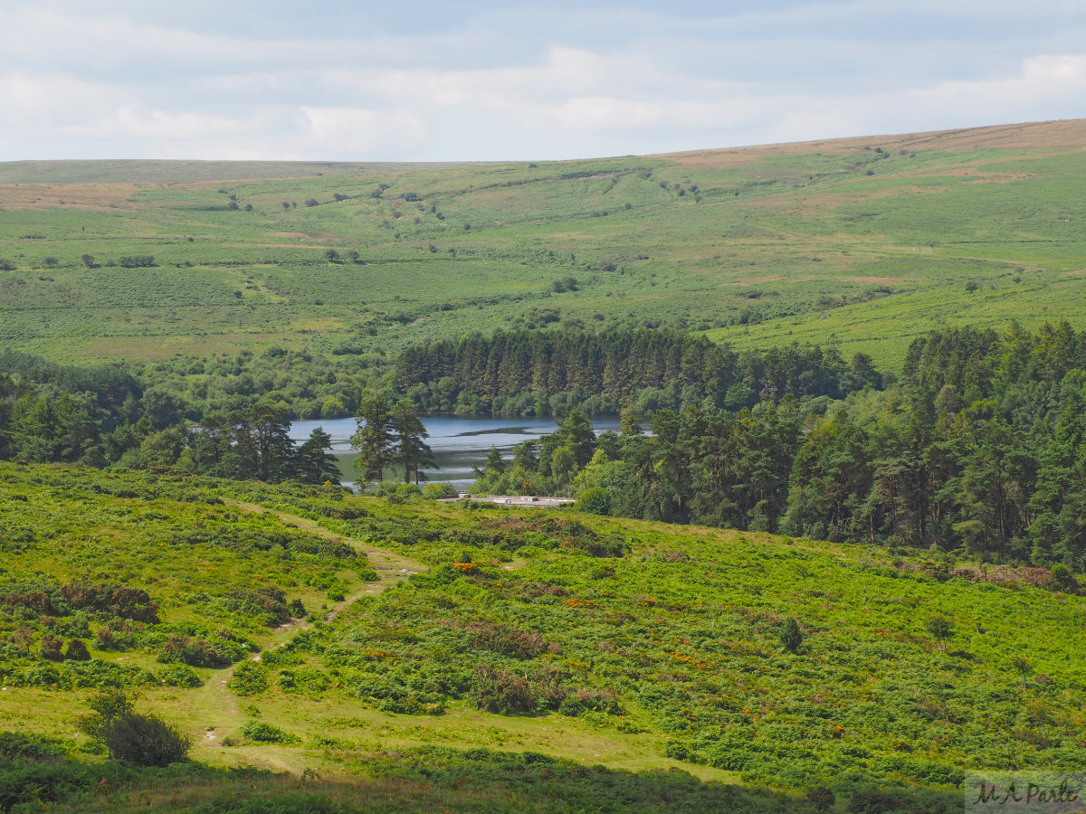 Venford Reservoir from Bench Tor