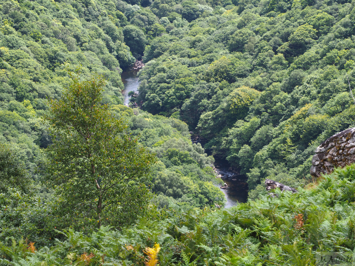 River Dart