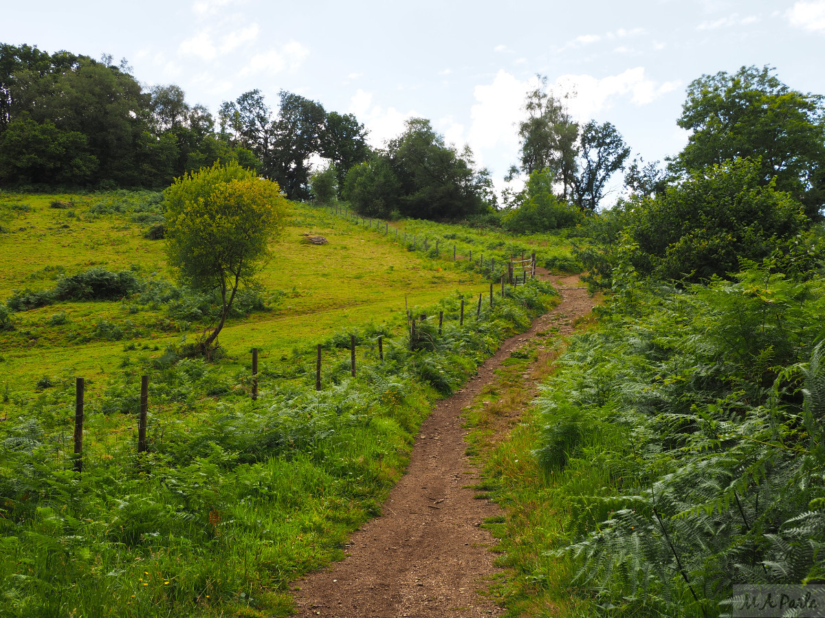 Steep path down to Becka Brook