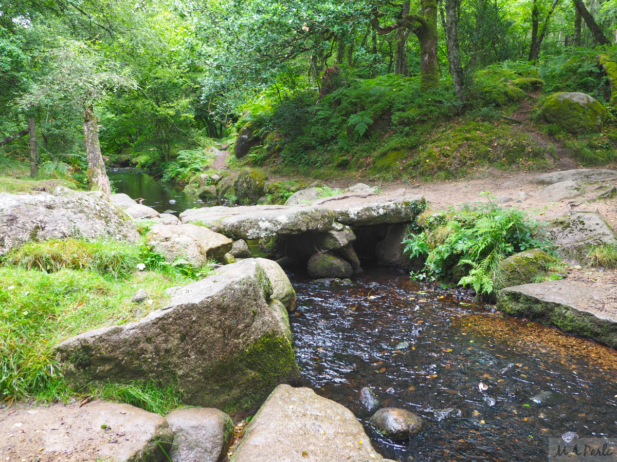 Clapper Bridge over Becka Brook