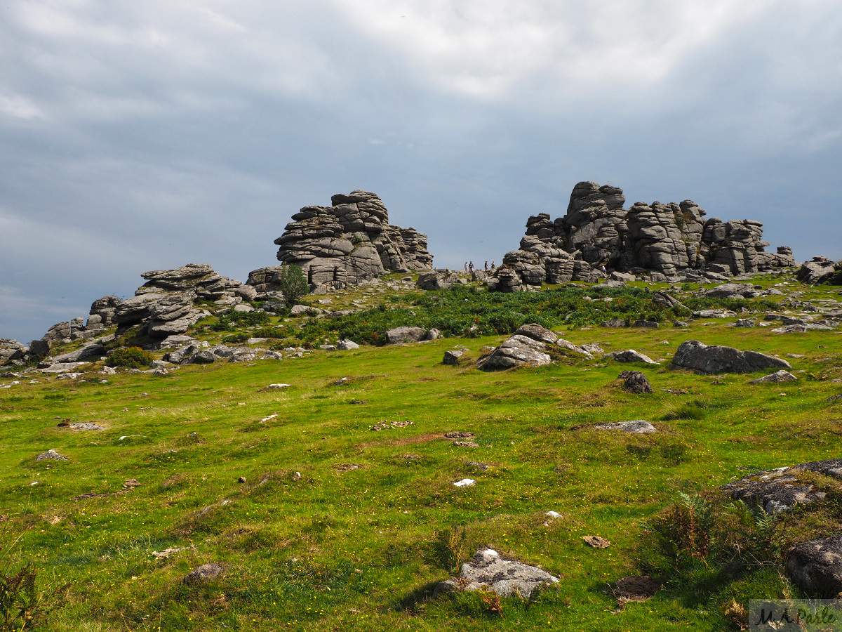 The north side of Hound Tor