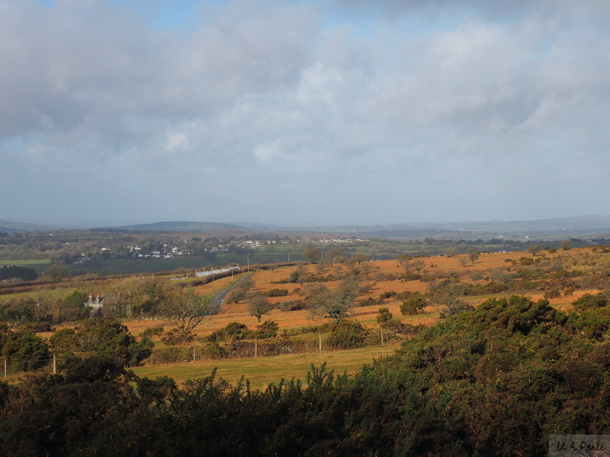 View north across Ringmoor Down and Lynch Common