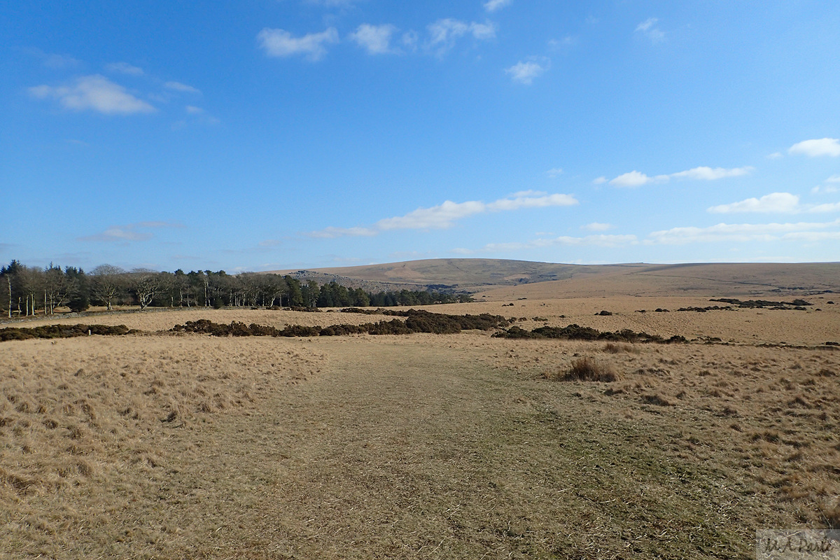 East from Sheeps Tor
