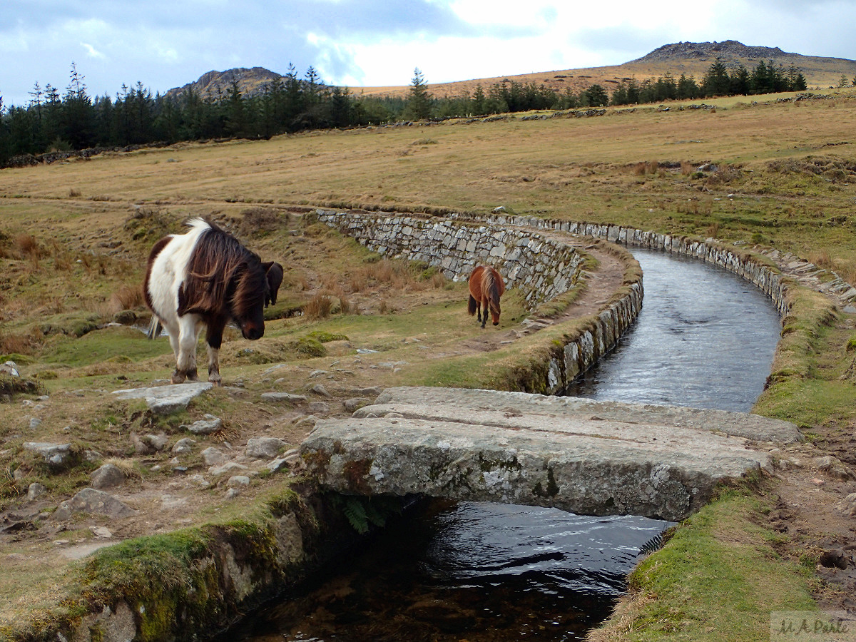 Devonport Leat