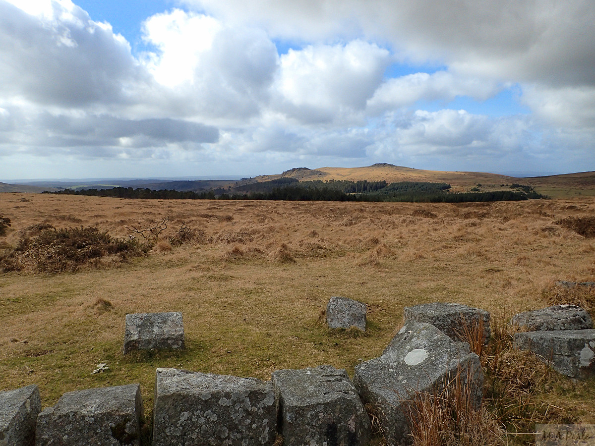 On Raddick Hill