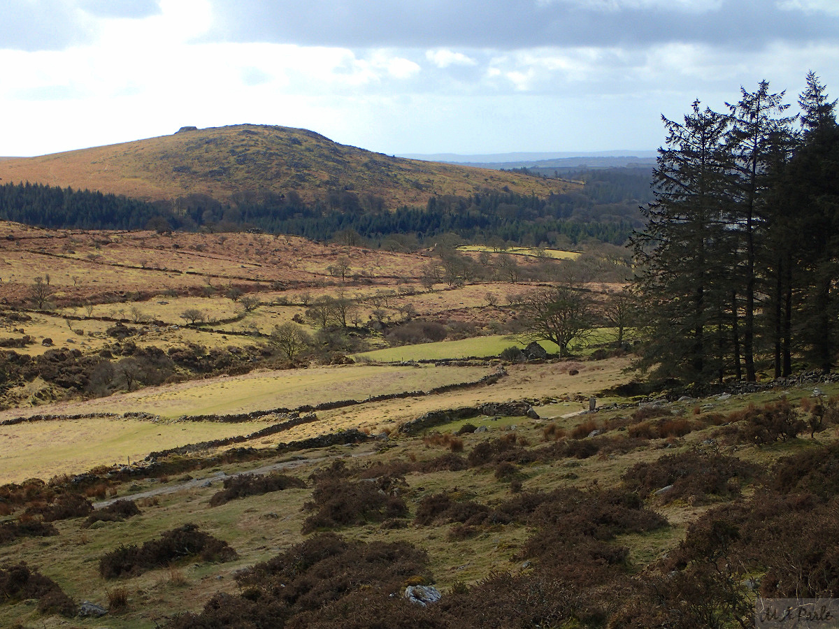 Newleycombe Lake