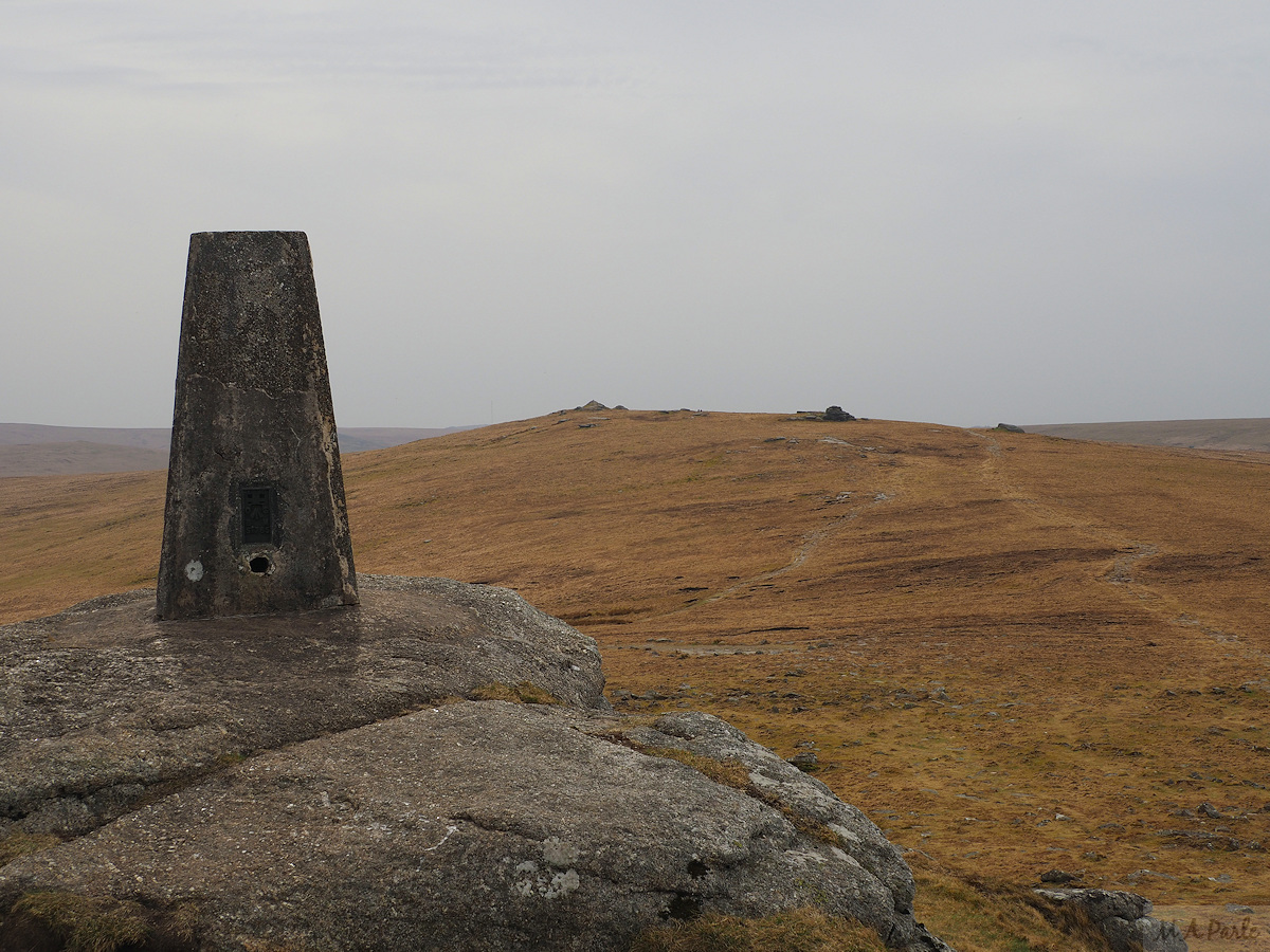 High Willhays from Yes Tor