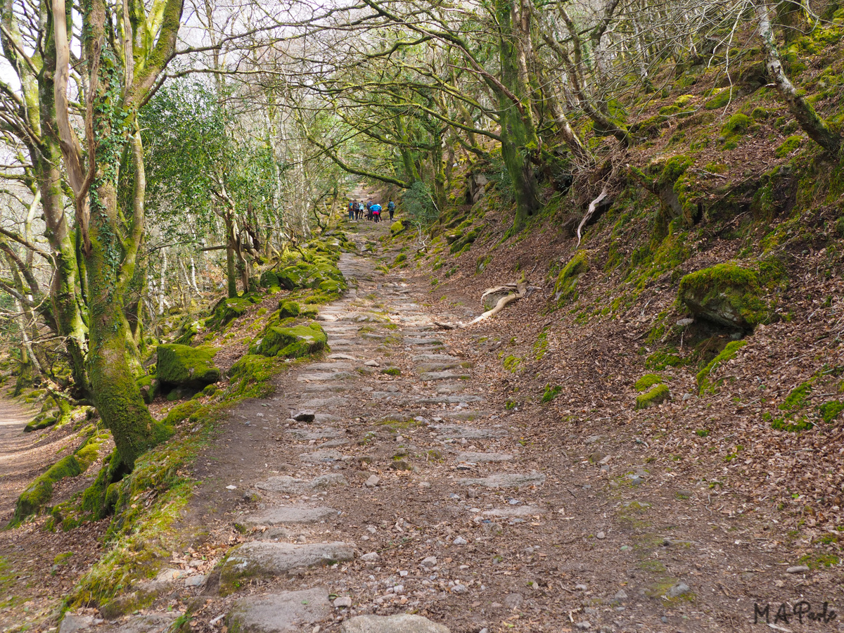 View up inlined plane, quarry tramway