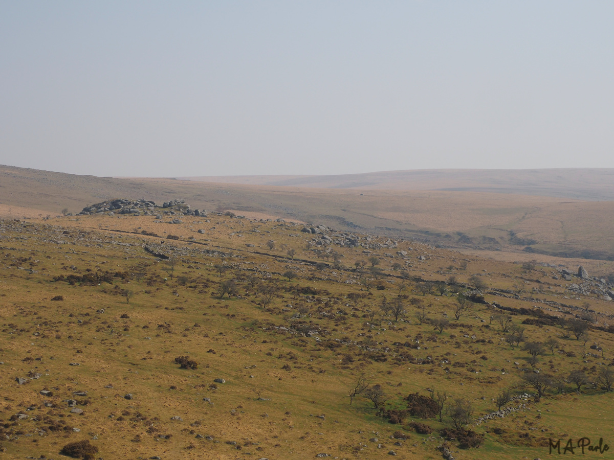 Combshead Tor