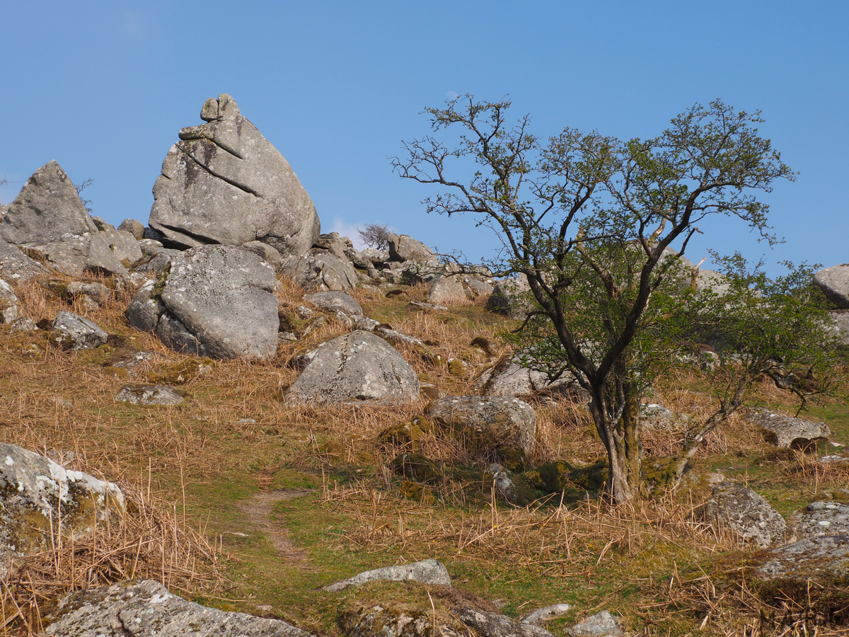 Cuckoo Rock