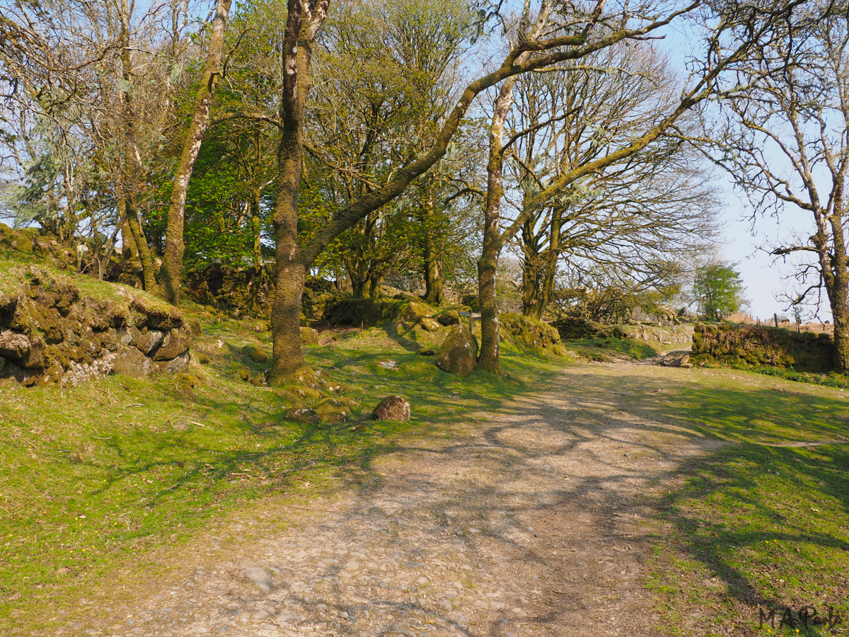 Track at Deancombe