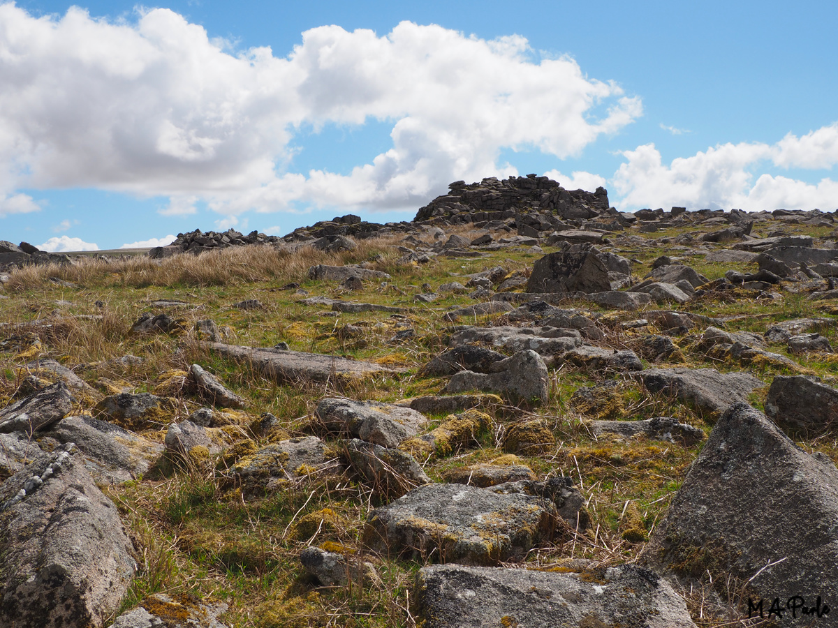 Approaching Little Trowlesworthy Tor