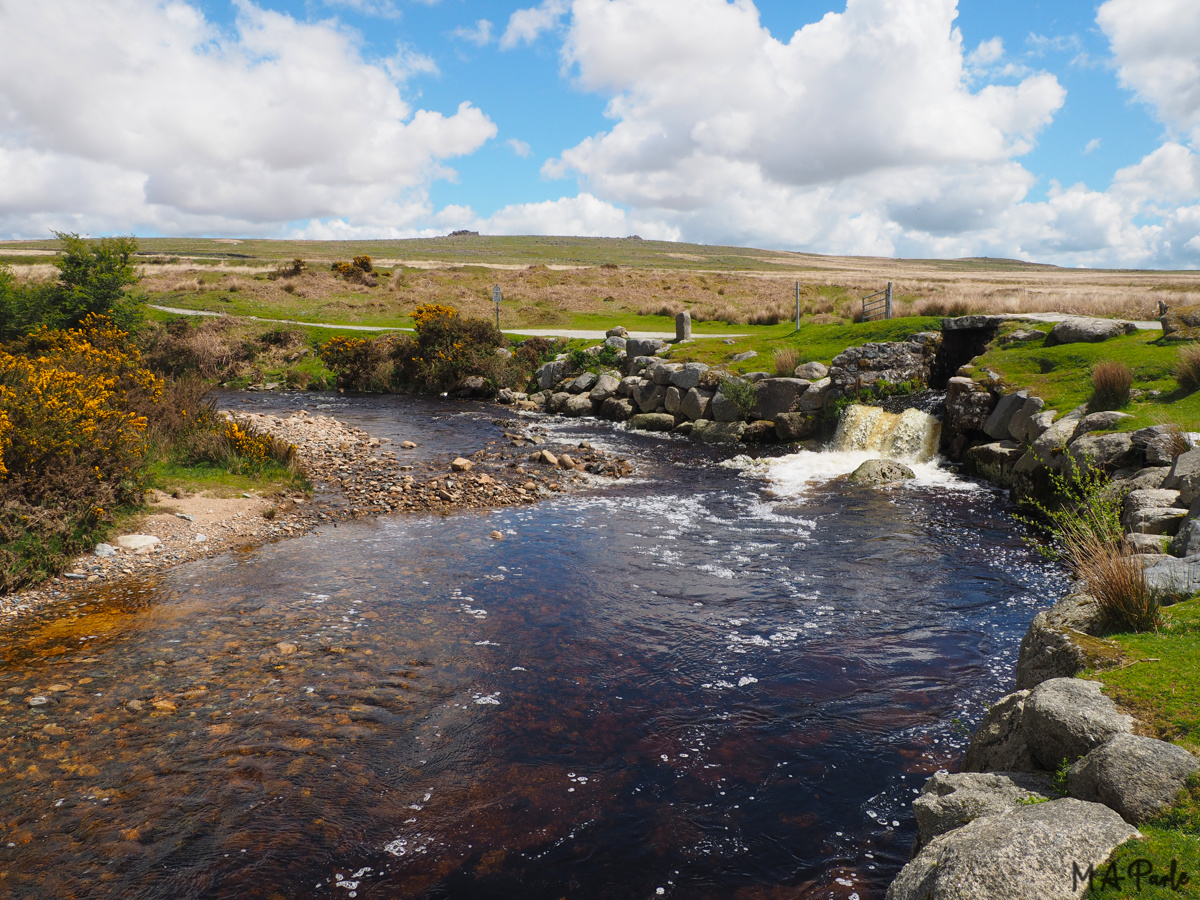 Blacka Brook flows into the River Plym