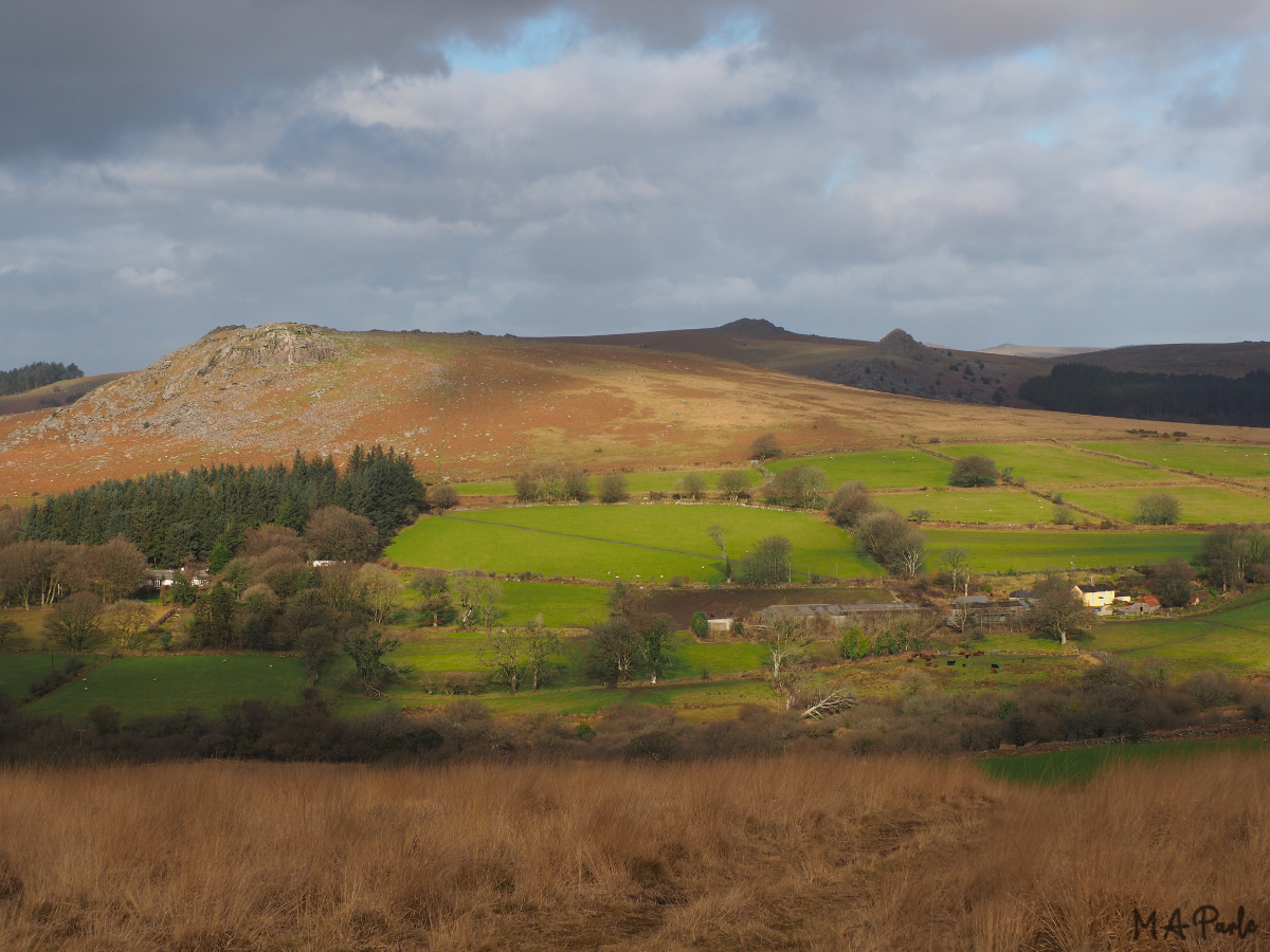 Sheeps Tor