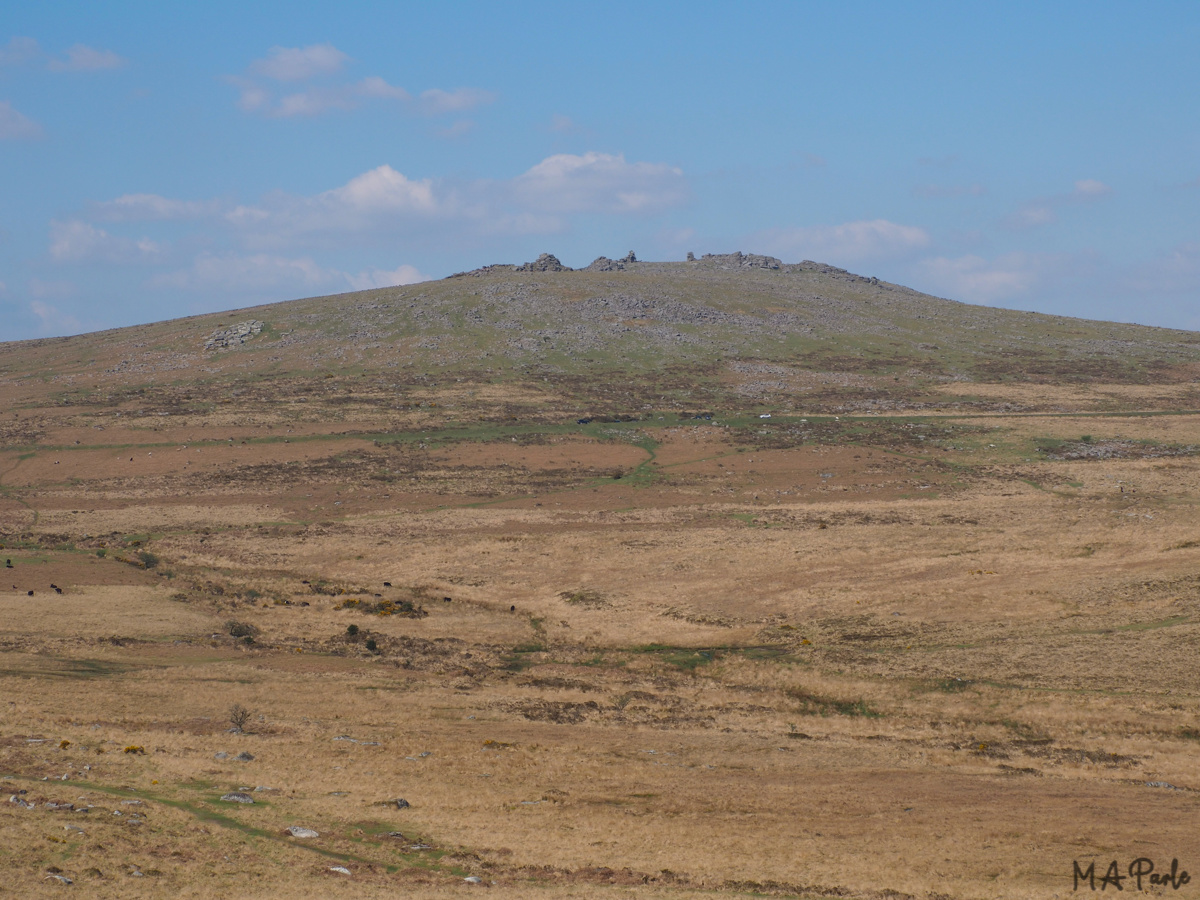 Great Staple Tor