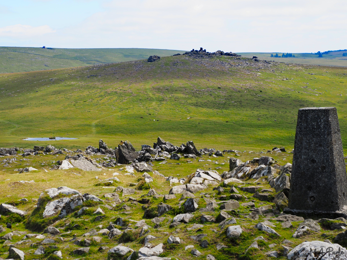 Great Staple Tor from Cox Tor