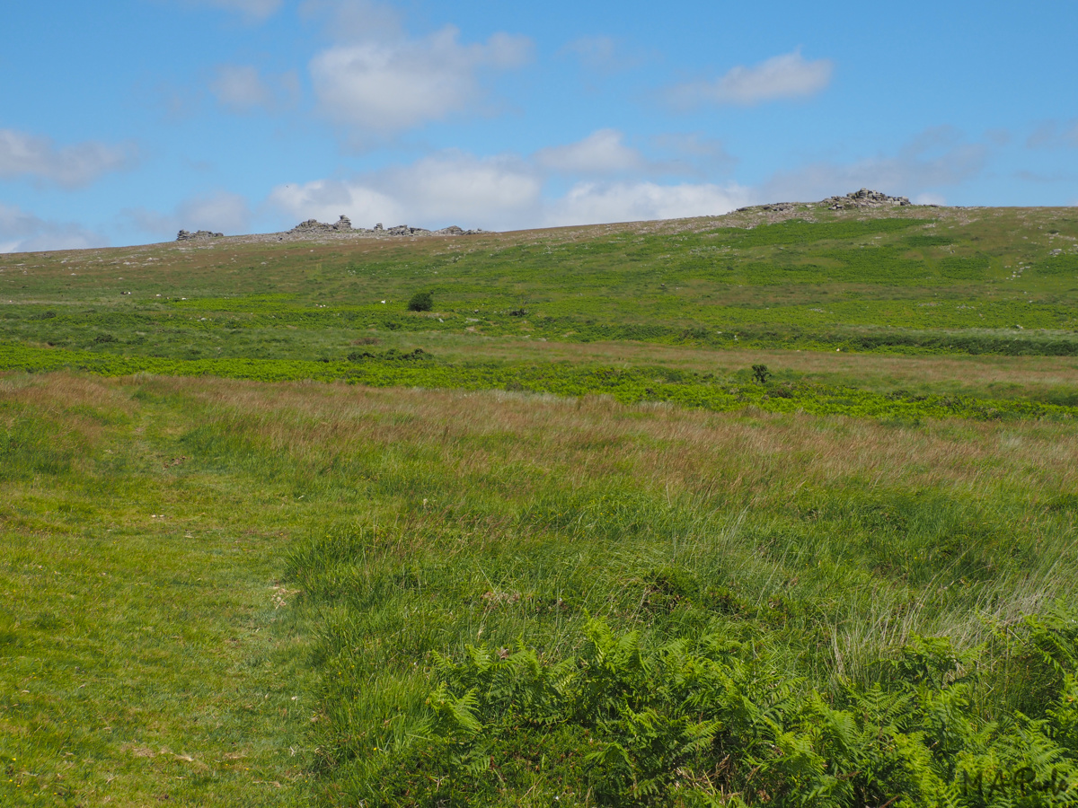 Great Staple Tor and Middle Staple Tor