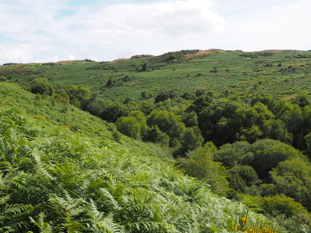 Venford Brook Valley