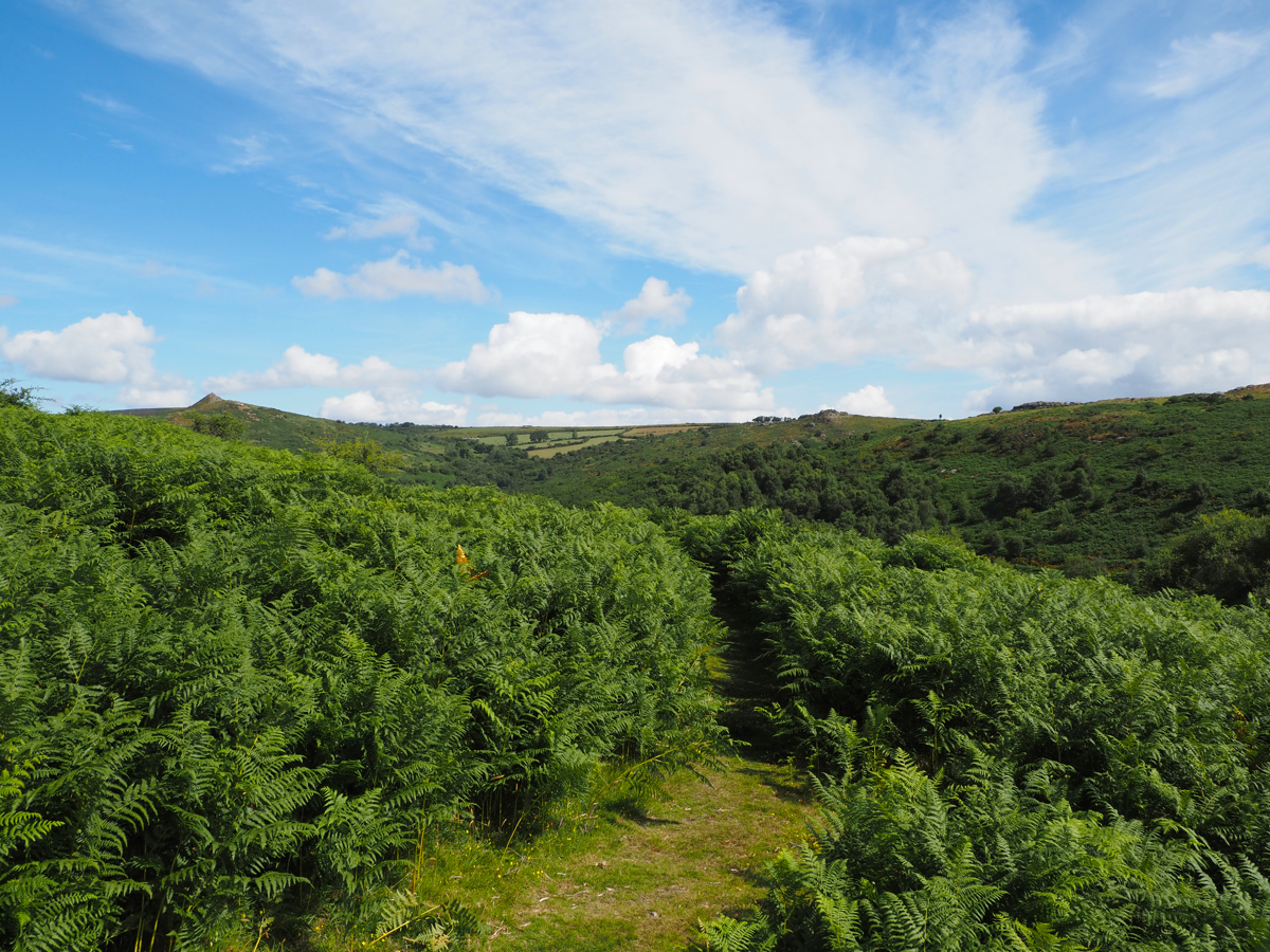 View across to Mel Tor