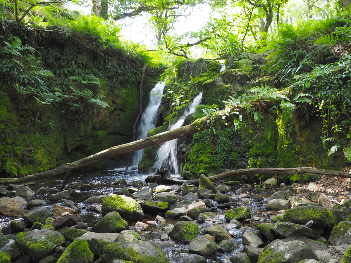 Venford Falls