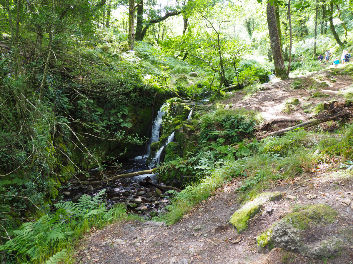 Venford Falls