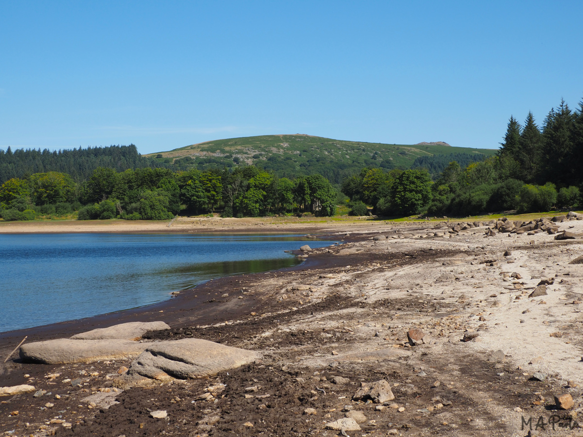 The muddy beach near Sheepstor Dam