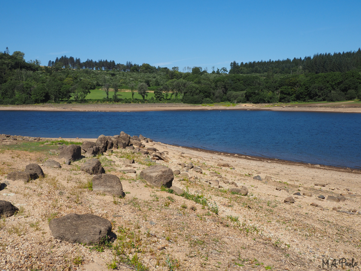 Remains of removed stone-faced Devon Bank