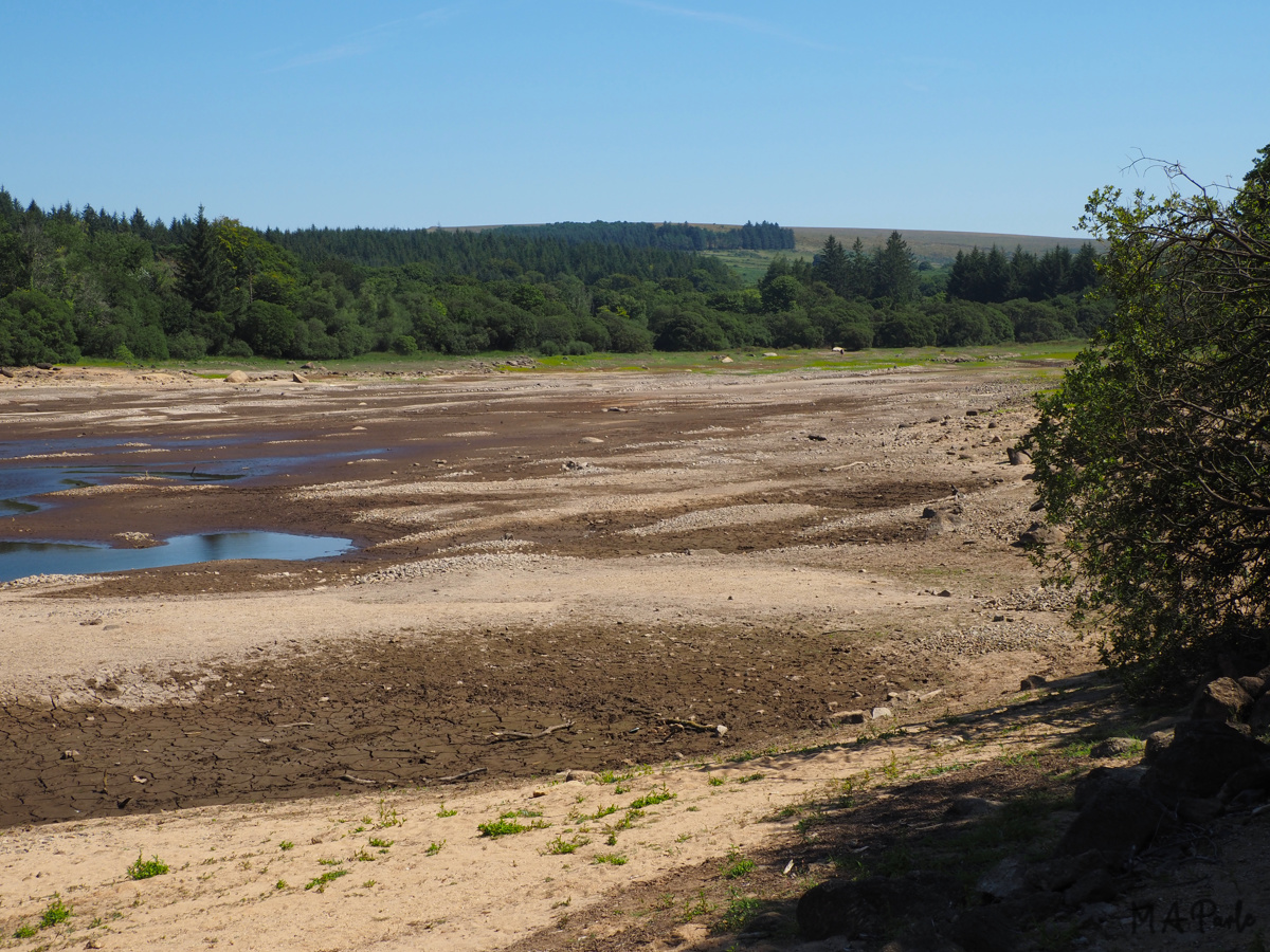 The eastern end of the reservoir, looking towards Norsworthy Bridge 