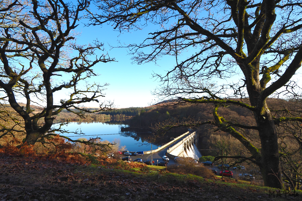 Looking down at Burrator Dam