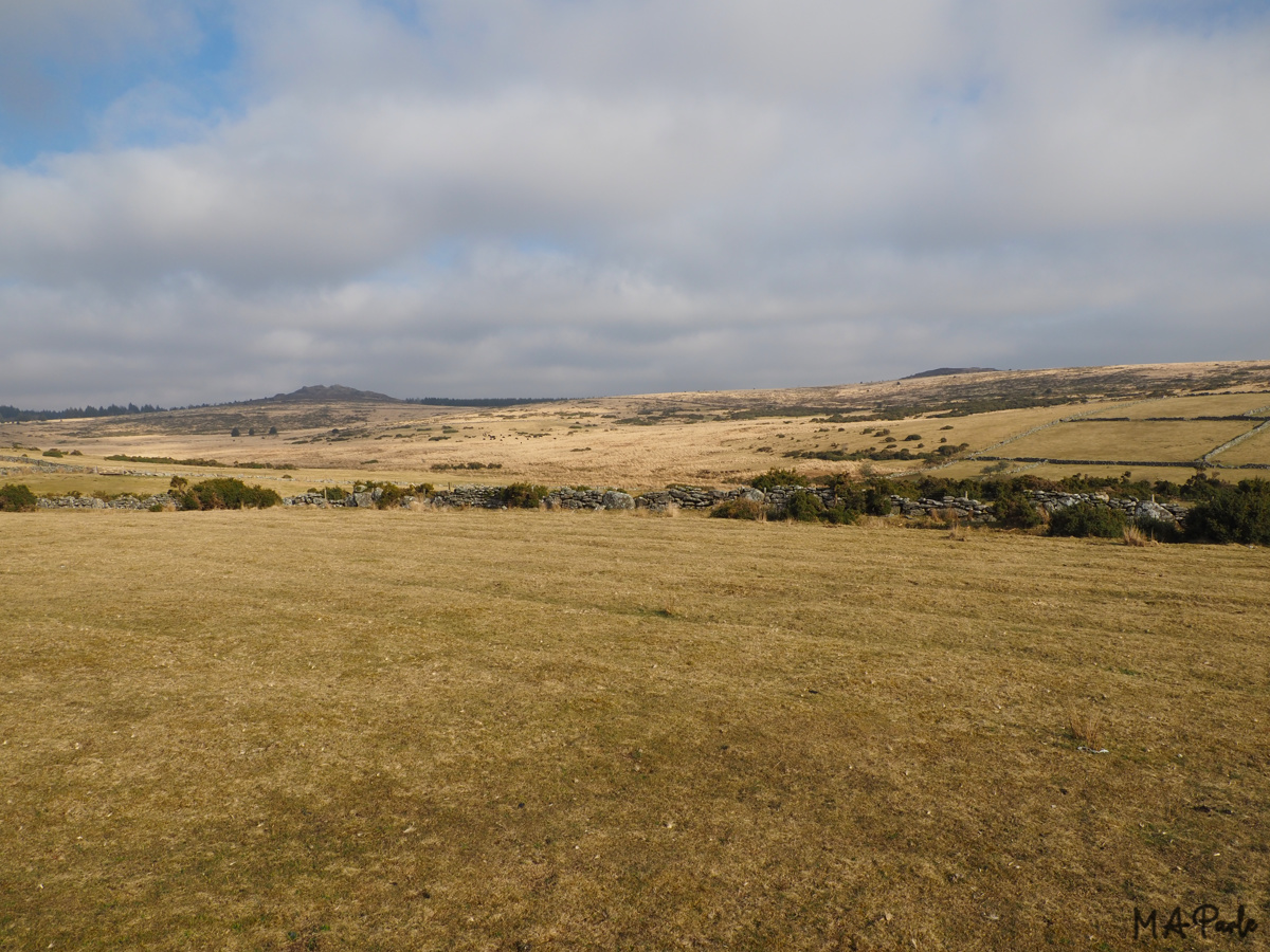 Bellever Tor and Laughter Tor from Dunnabridge car park