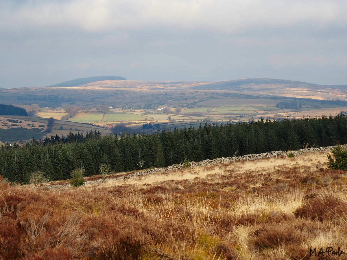 View north from Laughter Tor