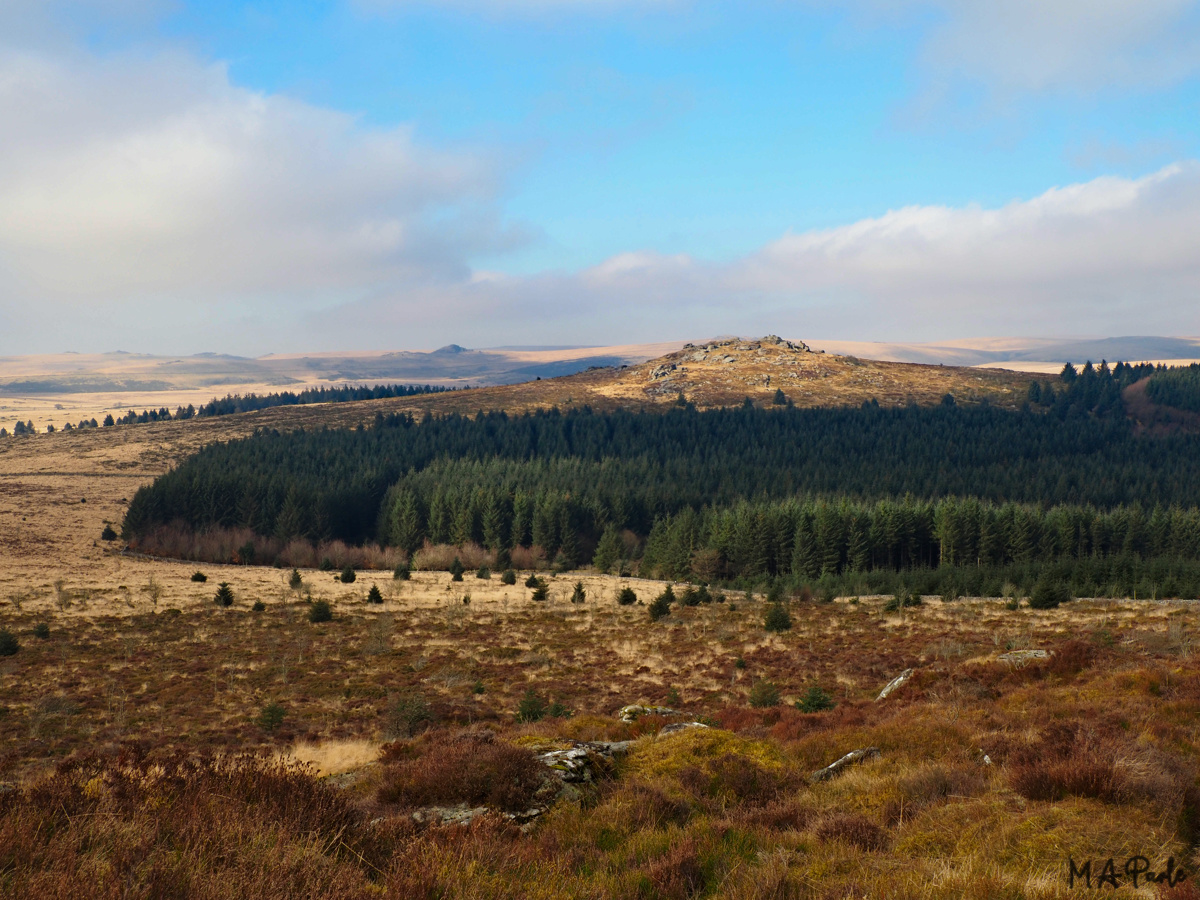 Bellever Tor from Laughter Tor