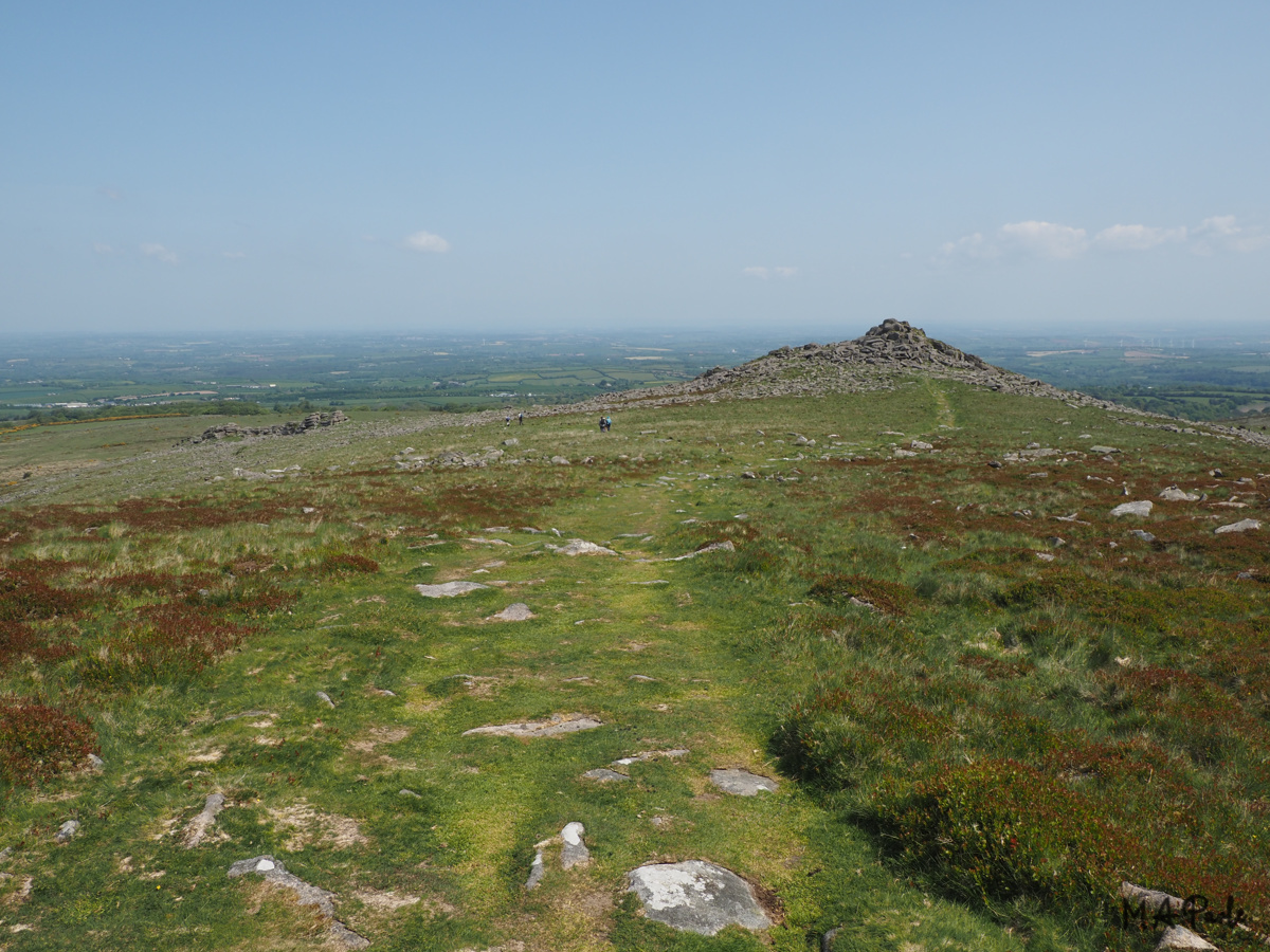 Belstone Common