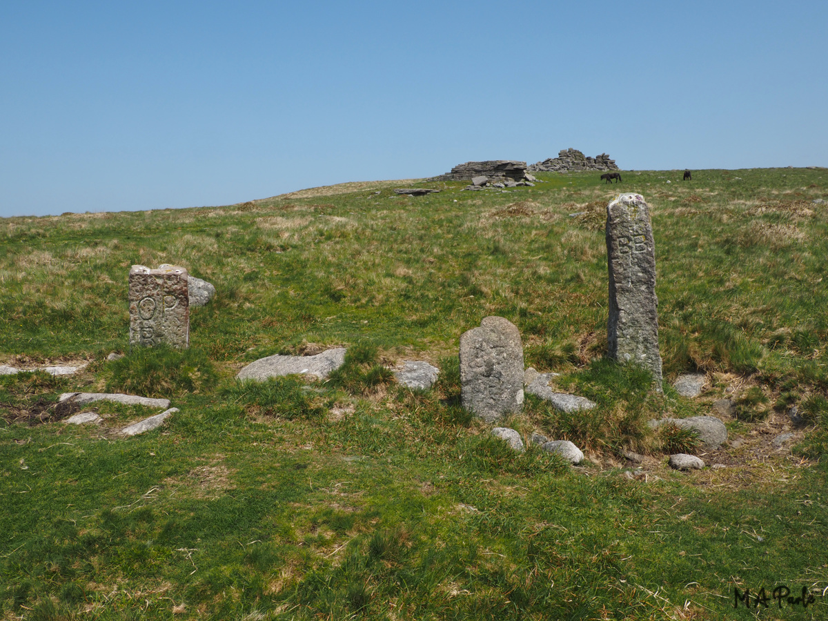 Lower Tor Boundary Stones, Okehampton Parish and Belstone