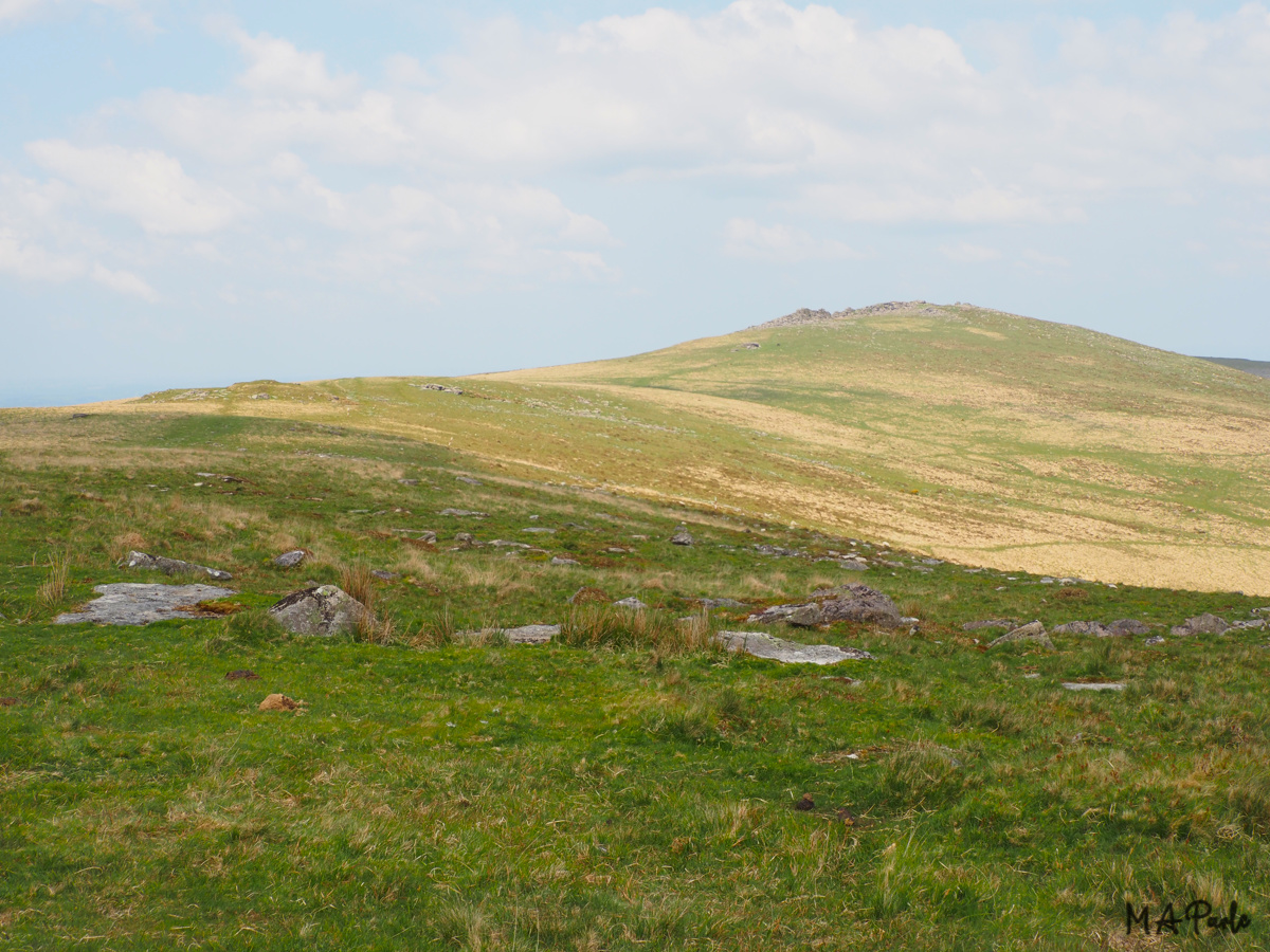 View north from Oak Tor to Higher Tor