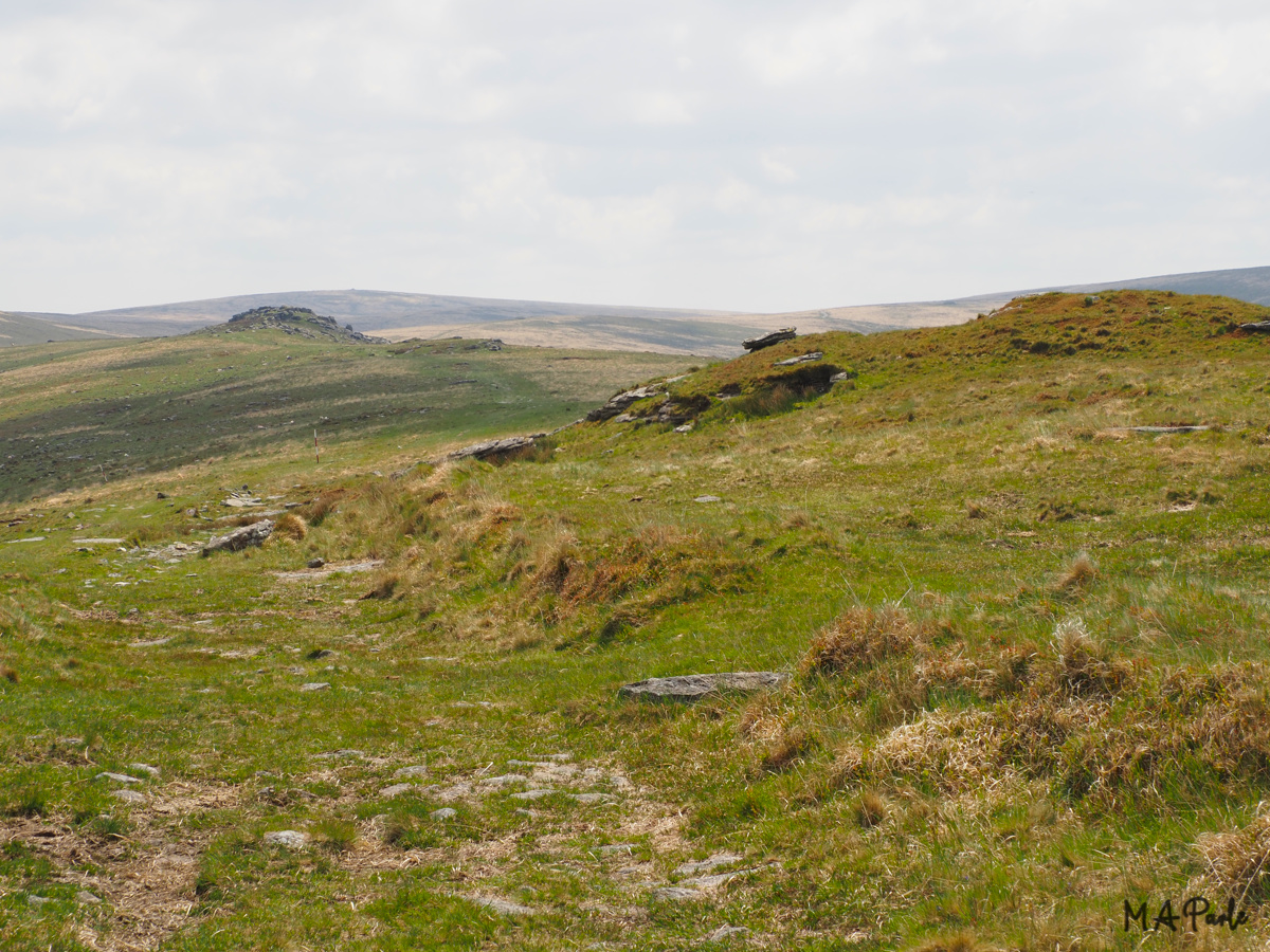 Oak Tor from Knattaborough Tor