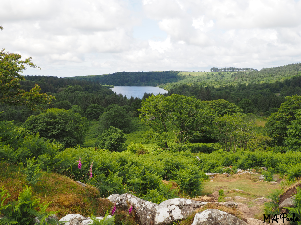 Burrator Reservoir