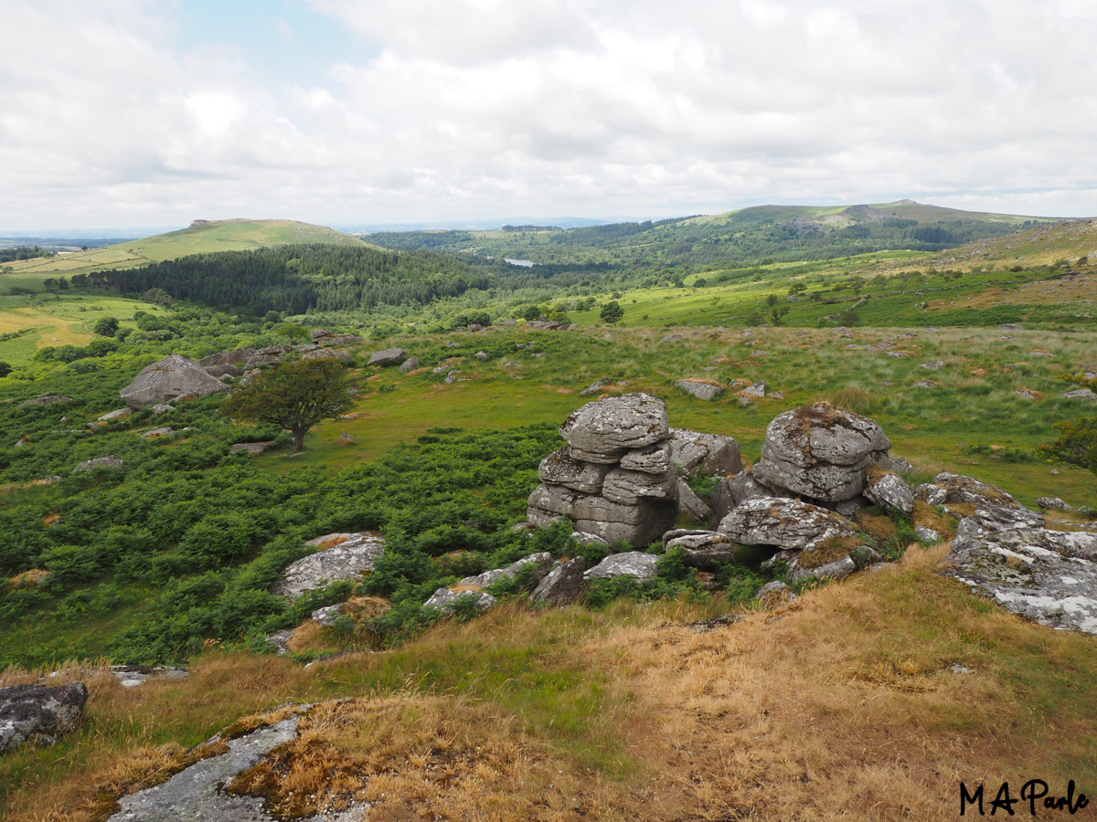 West from Combshead Tor