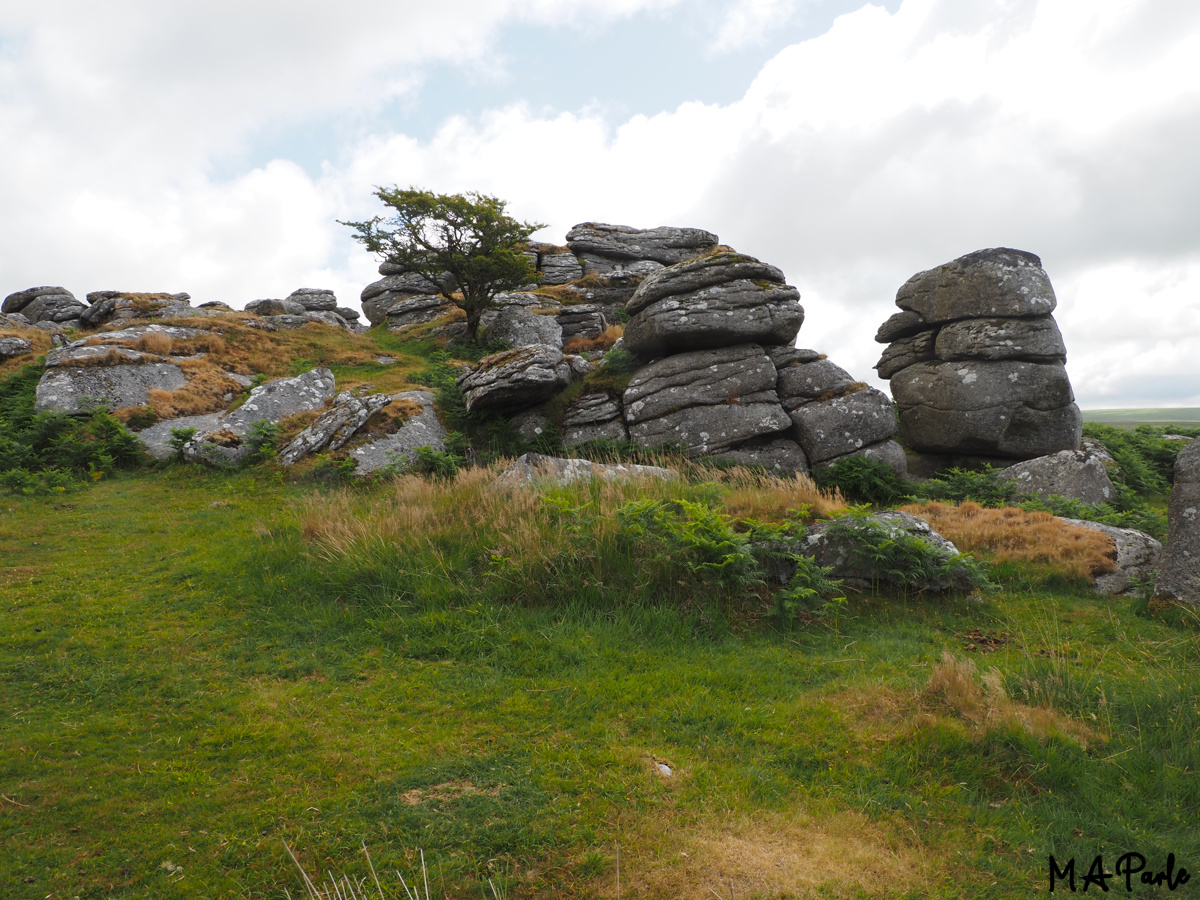 Combshead Tor