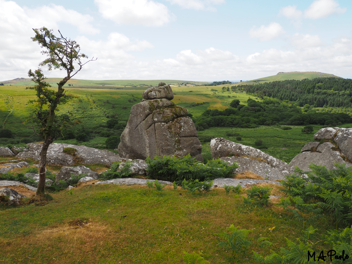 Cuckoo Rock