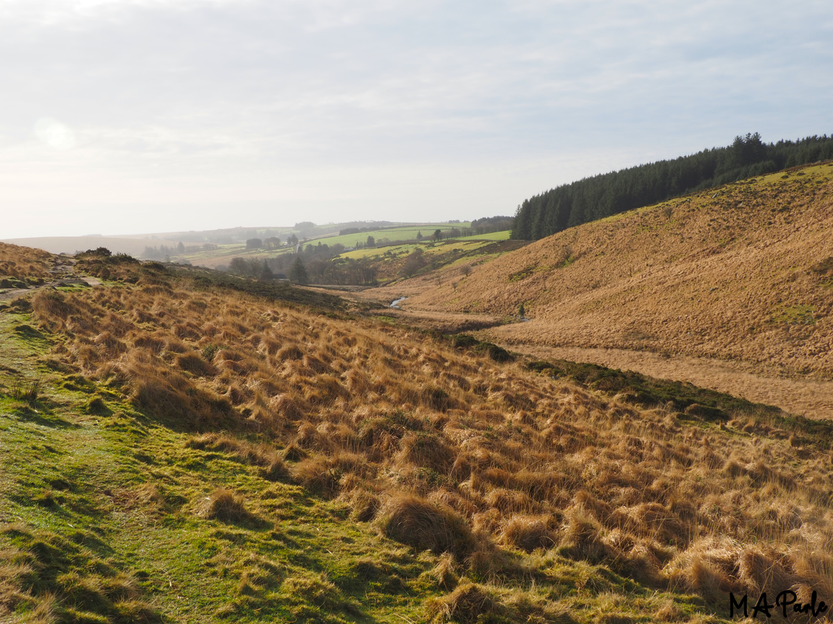 West Dart Valley