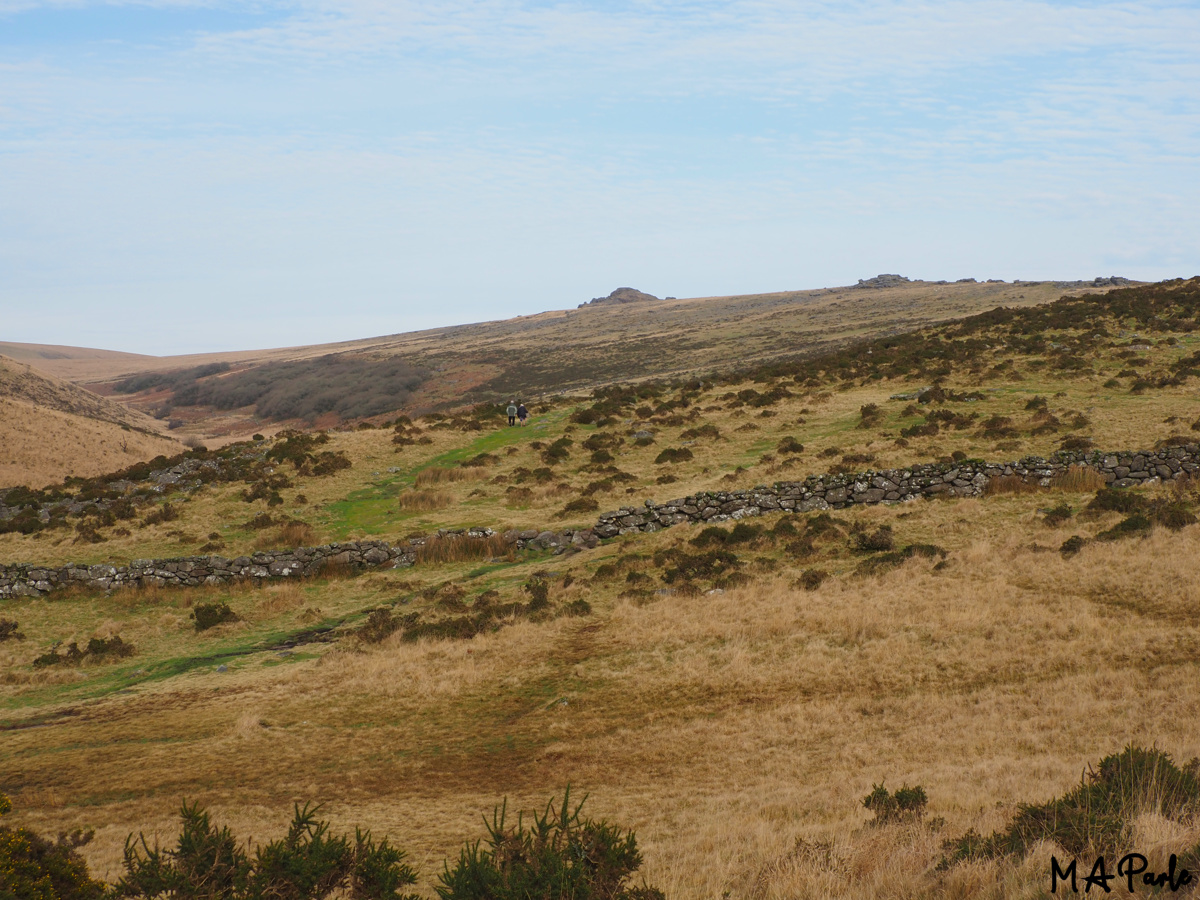 Way to Wistman's Wood