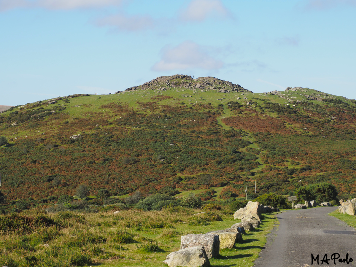 Sharp Tor