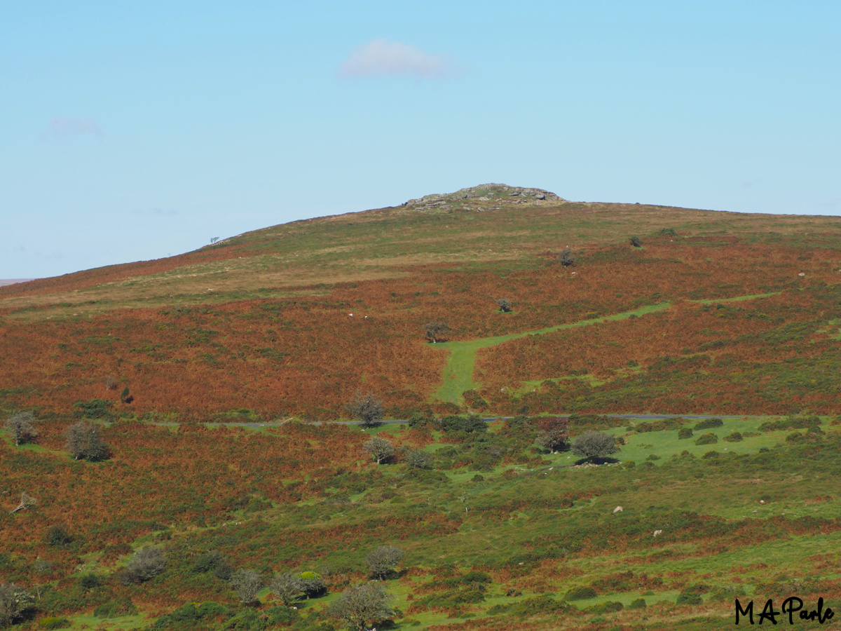 Yar Tor