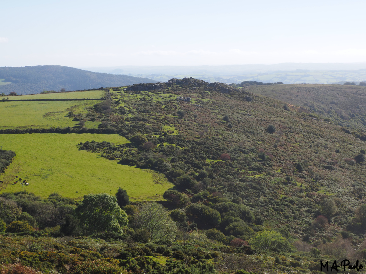 Mel Tor