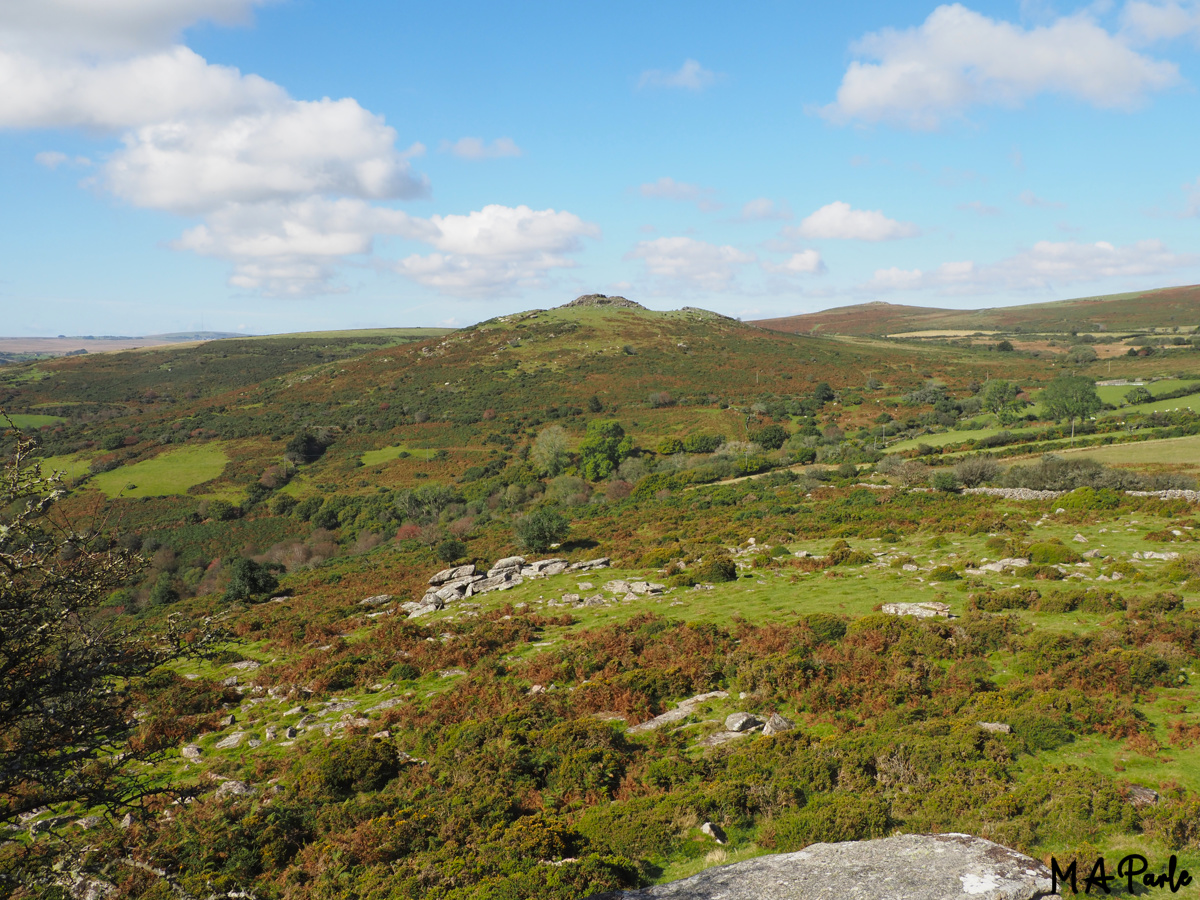Sharp Tor