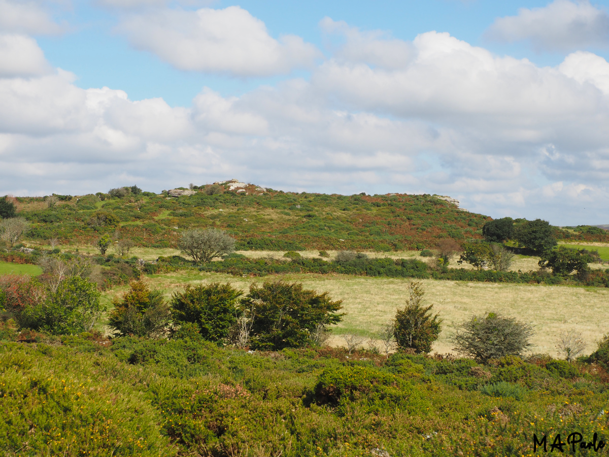 Bel Tor